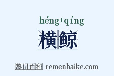 横鲸是什么意思的图片